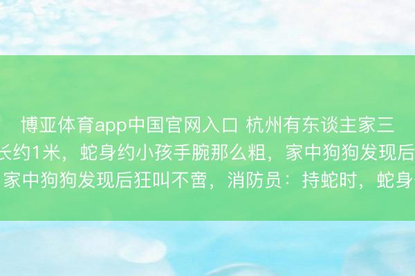 博亚体育app中国官网入口 杭州有东谈主家三天“闯”进3条眼镜蛇！长约1米，蛇身约小孩手腕那么粗，家中狗狗发现后狂叫不啻，消防员：持蛇时，蛇身一度立起来
