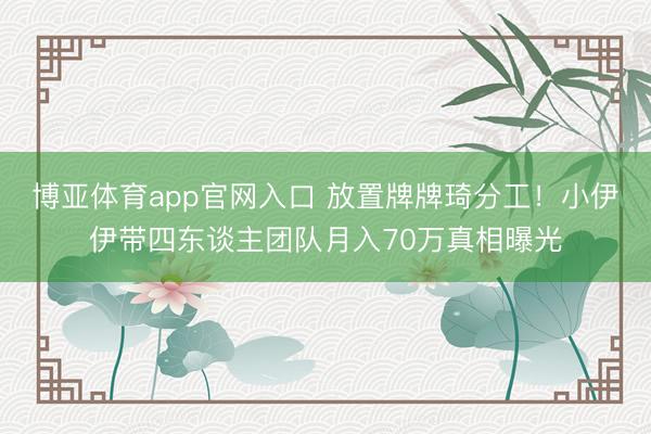 博亚体育app官网入口 放置牌牌琦分工！小伊伊带四东谈主团队月入70万真相曝光