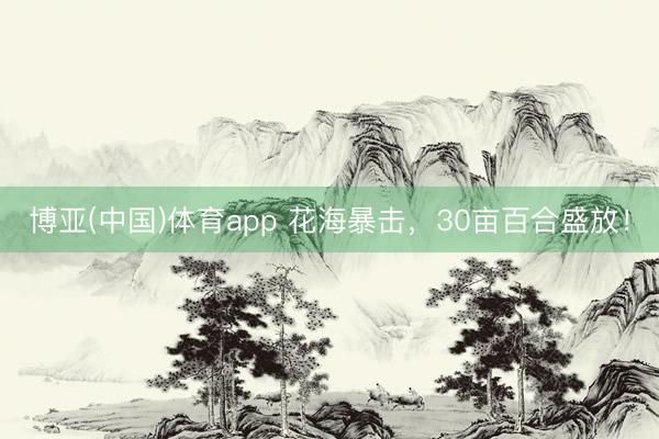 博亚(中国)体育app 花海暴击，30亩百合盛放！